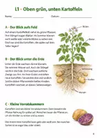 Vorschau - Stundenentwürfe - Sachtexte zum Leseverständnis Klasse 4 – Kartoffeln: Texte und Aufgaben - Seite 3