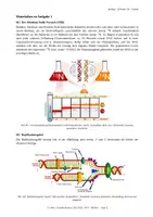 Vorschau - Klassenarbeiten - Biologie Klausur Genetik Q1/Q2 – DNA, Proteinbiosynthese, Mutationen & CRISPR (180 Min.) - Seite 2