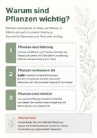 Vorschau - Arbeitsblätter - Die Bedeutung der Pflanzen - Einführung - Seite 1
