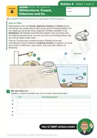 Vorschau - Stundenentwürfe - Tiere im Winter: Stationenlernen (7 Std.) Klasse 5/6 - Seite 2