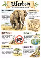 Vorschau - Arbeitsblätter - Lernposter + AB mit Fragen zum Thema "Elfenbein" + Lösungsblatt - Deckblatt