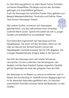 Vorschau - Arbeitsblätter - Klassenarbeit Steckbrief - Seite 1