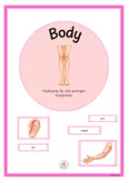 Vorschau - Präsentationen/Tafelbilder - Body - Flashcards - Englisch - Deckblatt