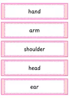 Vorschau - Präsentationen/Tafelbilder - Body - Flashcards - Englisch - Seite 3