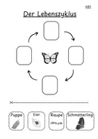 Vorschau - Unterrichtsreihen - Kurzreihe zum Thema Schmetterlinge in der ersten Klasse - Seite 1