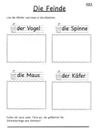Vorschau - Unterrichtsreihen - Kurzreihe zum Thema Schmetterlinge in der ersten Klasse - Seite 3