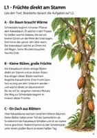 Vorschau - Stundenentwürfe - Sachtexte zum Leseverständnis Klasse 4 – Schokolade: Vom Kakaobaum zur Tafel - Seite 3