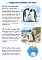 Vorschau - Stundenentwürfe - Sachtexte zum Leseverständnis Klasse 4 – Pinguine: Texte und Aufgaben - Seite 3
