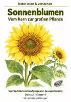 Vorschau - Stundenentwürfe - Sachtexte zum Leseverständnis Klasse 4 – Sonnenblumen: Vom Kern zur großen Pflanze - Deckblatt