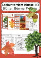 Vorschau - Arbeitsblätter - Bäume, Blätter & Früchte Sachunterricht Klasse 1 & 2 Wald - Deckblatt