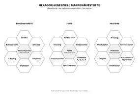Vorschau - Spiele - Hexagon-Legespiel: Makronährstoffe - Deckblatt