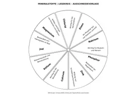 Vorschau - Spiele - Legekreis: Vitamine und Mineralstoffe - Deckblatt