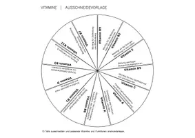 Vorschau - Spiele - Legekreis: Vitamine und Mineralstoffe - Seite 3
