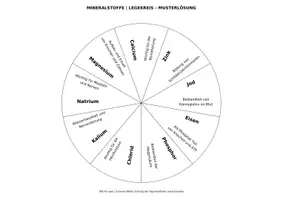 Vorschau - Spiele - Legekreis: Vitamine und Mineralstoffe - Seite 1