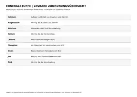 Vorschau - Spiele - Legekreis: Vitamine und Mineralstoffe - Seite 2