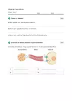 Vorschau - Stundenentwürfe - Biologie: Diabetes Typ 1 vs. Typ 2 - Klasse 9 - Seite 3