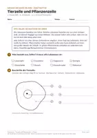Vorschau - Arbeitsblätter - Tierzelle Pflanzenzelle Arbeitsblätter Biologie 2. Klasse - Deckblatt