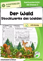 Vorschau - Arbeitsblätter - Stockwerke des Waldes - FREEBIE | ab Klasse 3 - Deckblatt