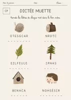 Aperçu - Feuilles d'exercices - Méthodologie Dictée CP Vocabulaire Français Fiche d'Exercice - Page de couverture