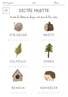 Aperçu - Feuilles d'exercices - Méthodologie Dictée CP Vocabulaire Français Fiche d'Exercice - Page 2