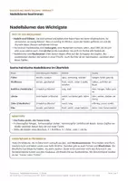Vorschau - Arbeitsblätter - Nadelbäume bestimmen Biologie 2. Klasse Arbeitsblätter - Seite 1