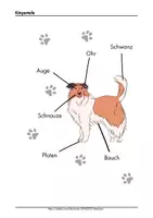 Vorschau - Arbeitsblätter - Thema Hund als Haustier und Nutztier Arbeitsblätter Sachunterricht Klasse 1 2 - Seite 3