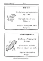 Vorschau - Arbeitsblätter - Leseverständnis Arbeitsblätter Von der Raupe zum Schmetterling Klasse 1 2 - Seite 2