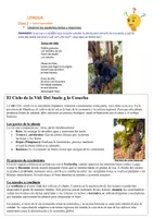 Vista previa - Unidades / Secuencias / Situaciones de Aprendizaje - Secuencia de lengua - Texto expositivo y adjetivos y verbos - página 1