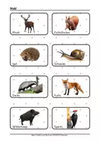 Vorschau - Spiele - Tiere Lebensräume Zuordnungsspiel Wo leben Tiere? - Seite 3