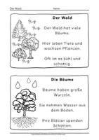 Vorschau - Arbeitsblätter - Arbeitsblätter Wald Leseheft über Waldtiere und Bäume - Seite 2