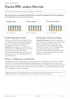 Vorschau - Unterrichtsreihen - Epigenetik & Genregulation – Biologie-Gesamtpaket | DNA-Methylierung, Histonmodifikation, X-Inaktivierung & Genaktivität | Differenzierte Arbeitsblätter mit Lösungen - Seite 3