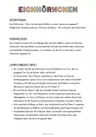 Vorschau - Unterrichtsreihen - Materialpaket: Das Eichhörnchen - Unterrichtsreihe, UB-Stunde und Material - Seite 1