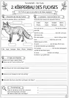 Vorschau - Arbeitsblätter - Der Fuchs - Forscherheft Sachunterricht - Seite 2