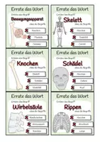 Vorschau - Spiele - Bewegungsapparat - Errate das Wort-Spiel - Seite 2