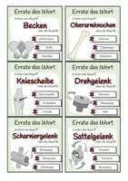 Vorschau - Spiele - Bewegungsapparat - Errate das Wort-Spiel - Seite 3