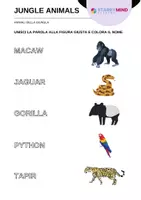 anteprima - Esercizi - Animali della Giungla - Jungle Animals / Inglese Beginner - Pagina 1