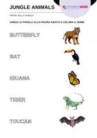 anteprima - Esercizi - Animali della Giungla - Jungle Animals / Inglese Beginner - Pagina 2