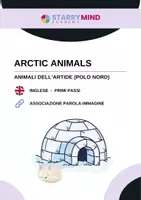 anteprima - Materiale di supporto/inclusione - Animali dell'Artide - Arctic Animals / Inglese Beginner - Pagina di copertina