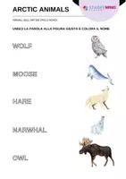 anteprima - Materiale di supporto/inclusione - Animali dell'Artide - Arctic Animals / Inglese Beginner - Pagina 2