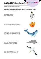 anteprima - Materiale di supporto/inclusione - Animali dell'Antartide - Antarctic Animals / Inglese - Pagina 1