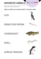 anteprima - Materiale di supporto/inclusione - Animali dell'Antartide - Antarctic Animals / Inglese - Pagina 2