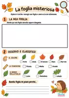 anteprima - Esercizi - 🍁 DETECTIVE DELLE FOGLIE – matematica d'autunno 🍂 - Pagina 1
