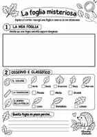 anteprima - Esercizi - 🍁 DETECTIVE DELLE FOGLIE – matematica d'autunno 🍂 - Pagina 2