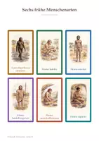 Vorschau - Arbeitsblätter - Frühmenschen entdecken – Lernkarten & Zeitstrahl | Sachunterricht Grundschule - Seite 2