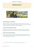 Vorschau - Anderer Materialtyp - Lernheft Das Reh – Das Europäische Reh entdecken Waldtiere & Natur Sachunterricht - Seite 1