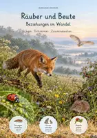 Vorschau - Unterrichtsreihen - Räuber-Beute-Beziehungen & Lotka-Volterra-Regeln – Biologie-Gesamtpaket | Populationsdynamik, Ökologie, Diagramme & differenzierte Arbeitsblätter mit Lösungen - Deckblatt