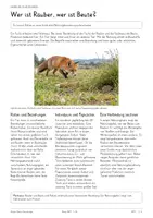 Vorschau - Unterrichtsreihen - Räuber-Beute-Beziehungen & Lotka-Volterra-Regeln – Biologie-Gesamtpaket | Populationsdynamik, Ökologie, Diagramme & differenzierte Arbeitsblätter mit Lösungen - Seite 3