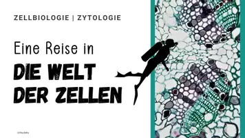 Vorschau - Unterrichtsreihen - Materialpaket Unterrichtsreihe Zellbiologie I Unterrichtseinheit EF - Seite 2
