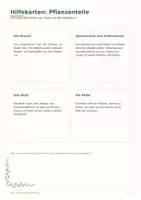 Vorschau - Arbeitsblätter - Der Bau einer Blütenpflanze - Seite 3