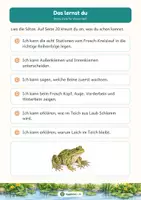 Vorschau - Arbeitsblätter - Von der Kaulquappe zum Frosch – und wieder zurück: Sachunterricht Klasse 1/2 - Seite 3